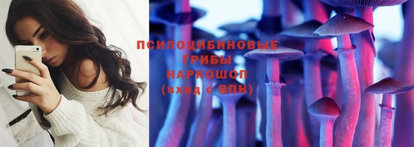 гашик Анива