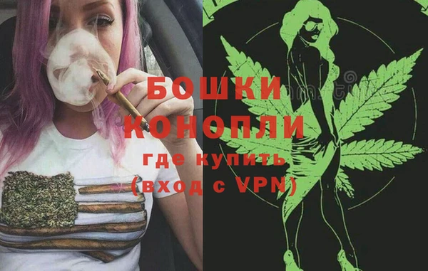мдпв Волоколамск