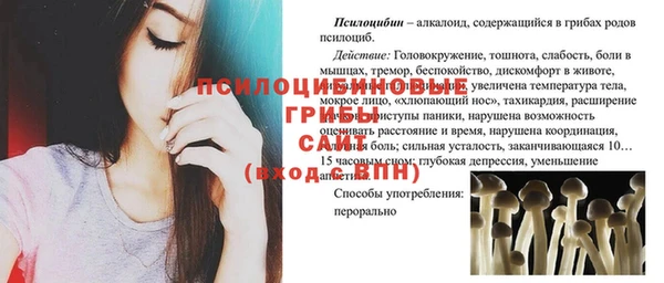 мдпв Волоколамск